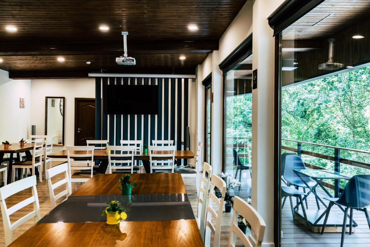 Mer Guest House B&B Brasov Ngoại thất bức ảnh
