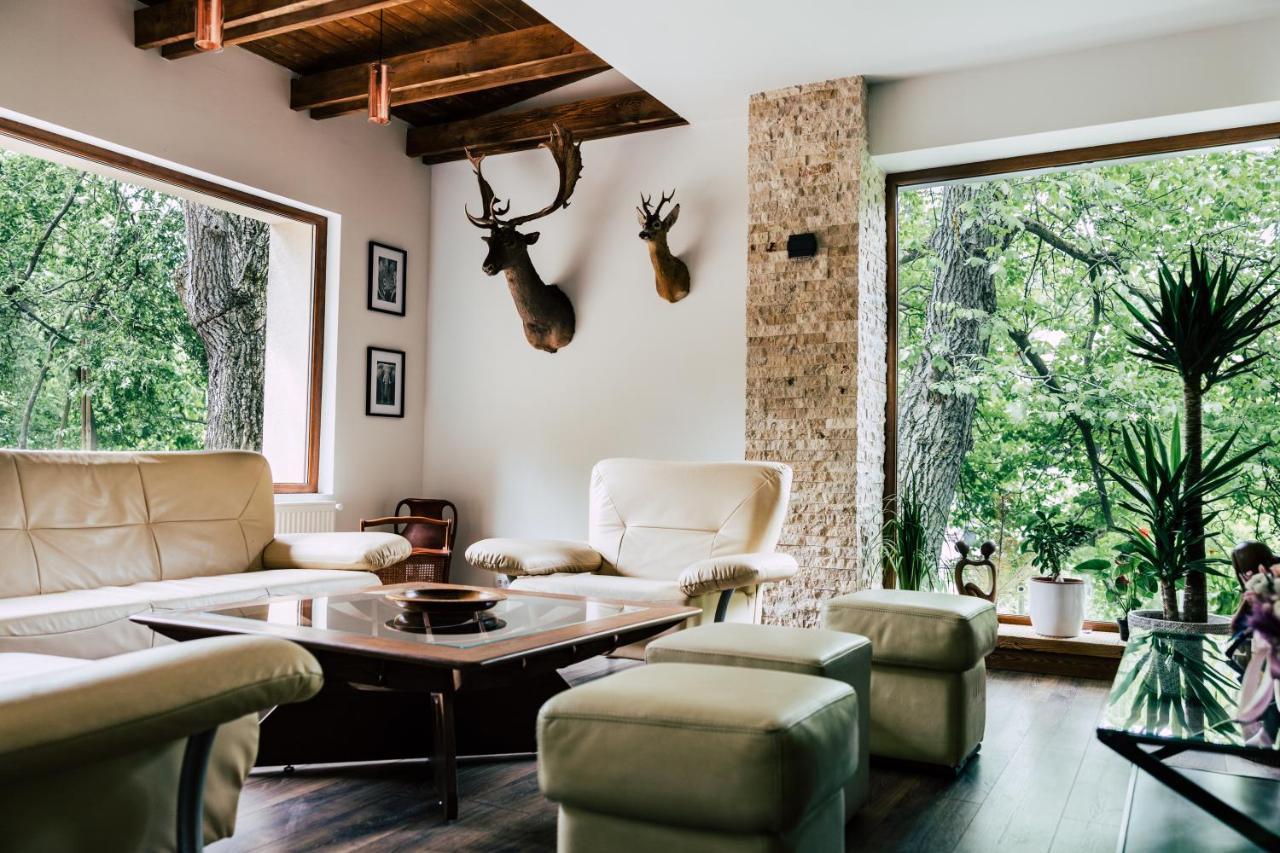 Mer Guest House B&B Brasov Ngoại thất bức ảnh